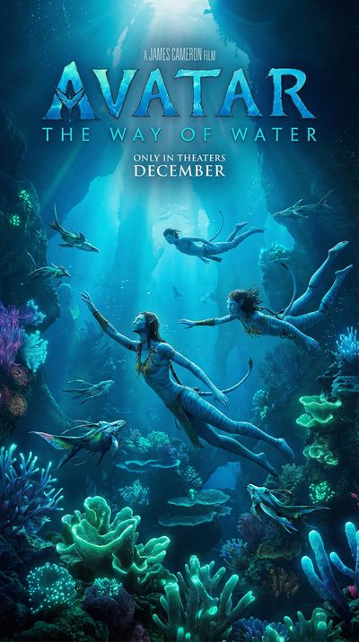 《孤注一掷》高清犯罪视频海报